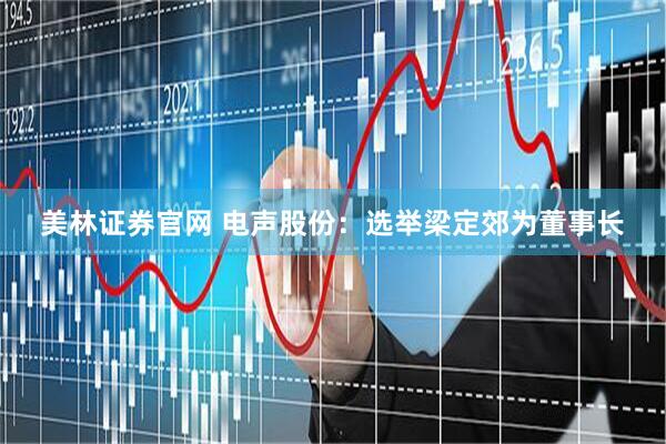 美林证券官网 电声股份：选举梁定郊为董事长