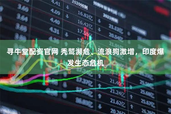 寻牛堂配资官网 秃鹫濒危、流浪狗激增，印度爆发生态危机