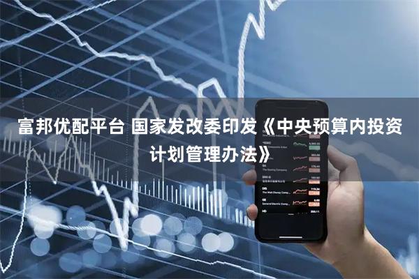 富邦优配平台 国家发改委印发《中央预算内投资计划管理办法》